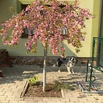 Privatunterkunft U Horských *