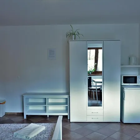 Penzion U Horskych Homestay Caslav