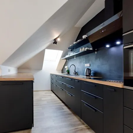 U Horskych 民宿 Čáslav