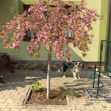 Homestay Penzion U Horskych *