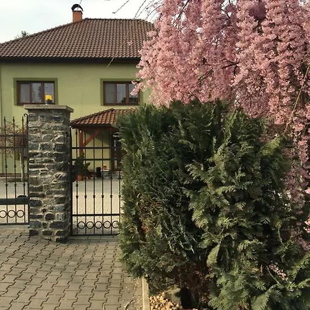 Homestay Penzion U Horskych *