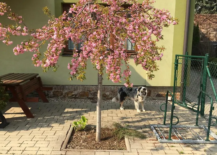 בית אירוח U Horskych *